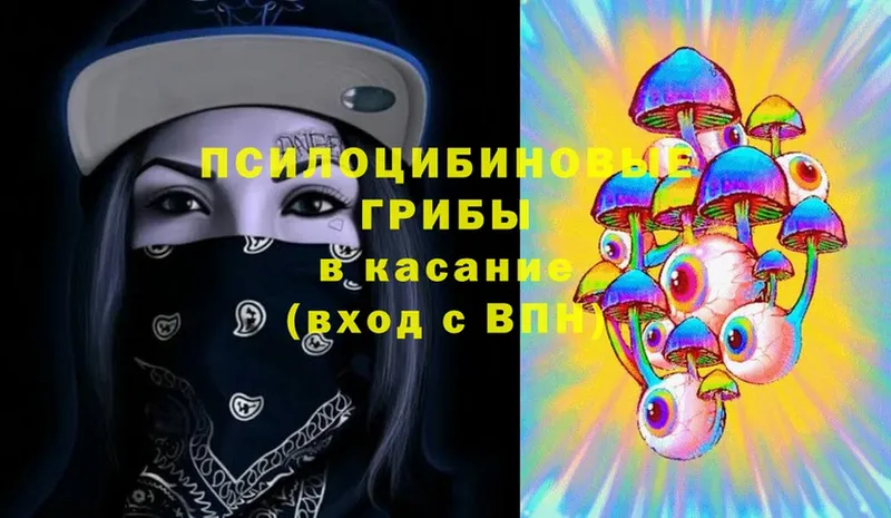 нарко площадка состав  Шиханы  Псилоцибиновые грибы Magic Shrooms  как найти наркотики 